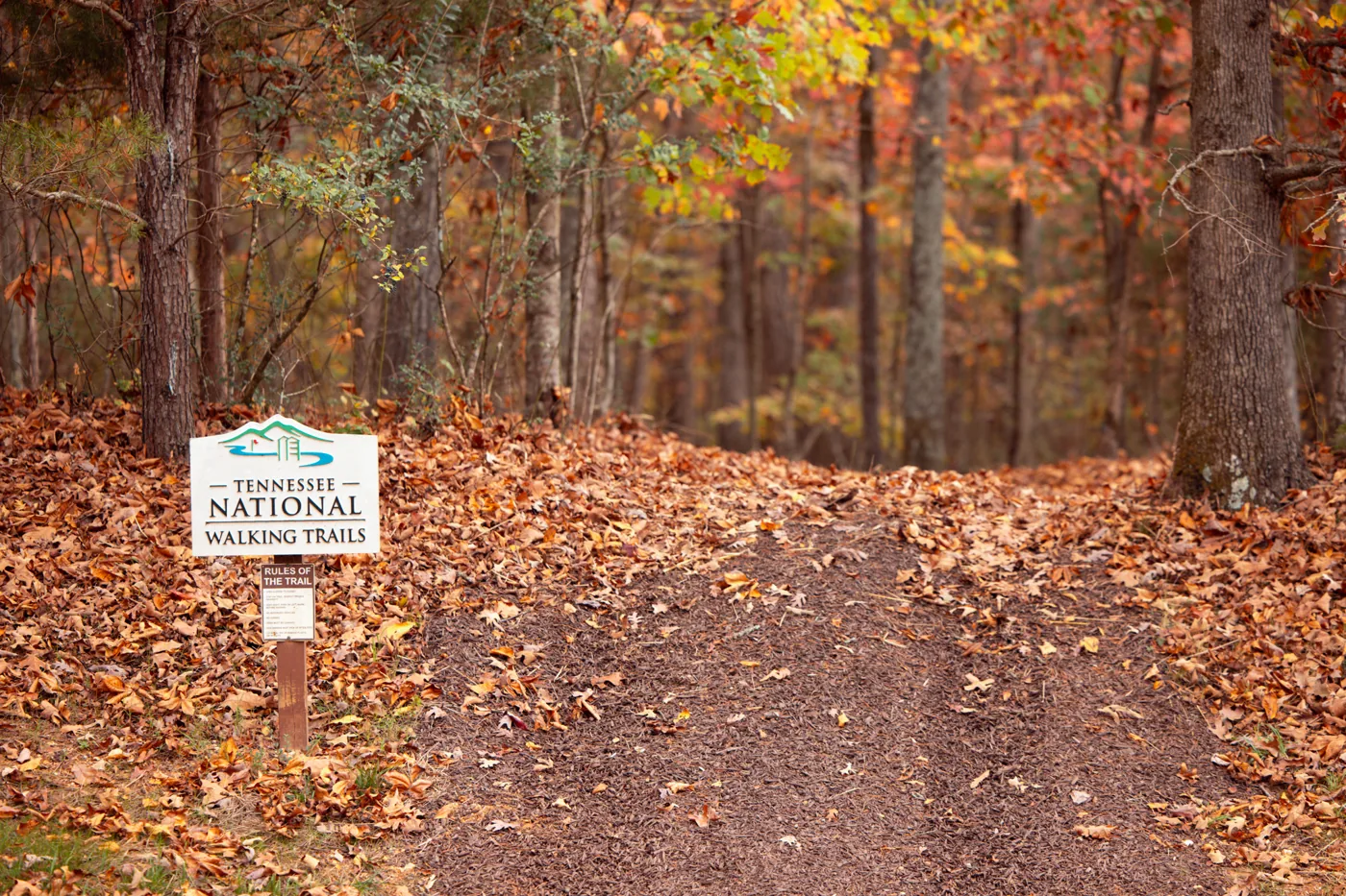 Hiking Trails at Tennessee National