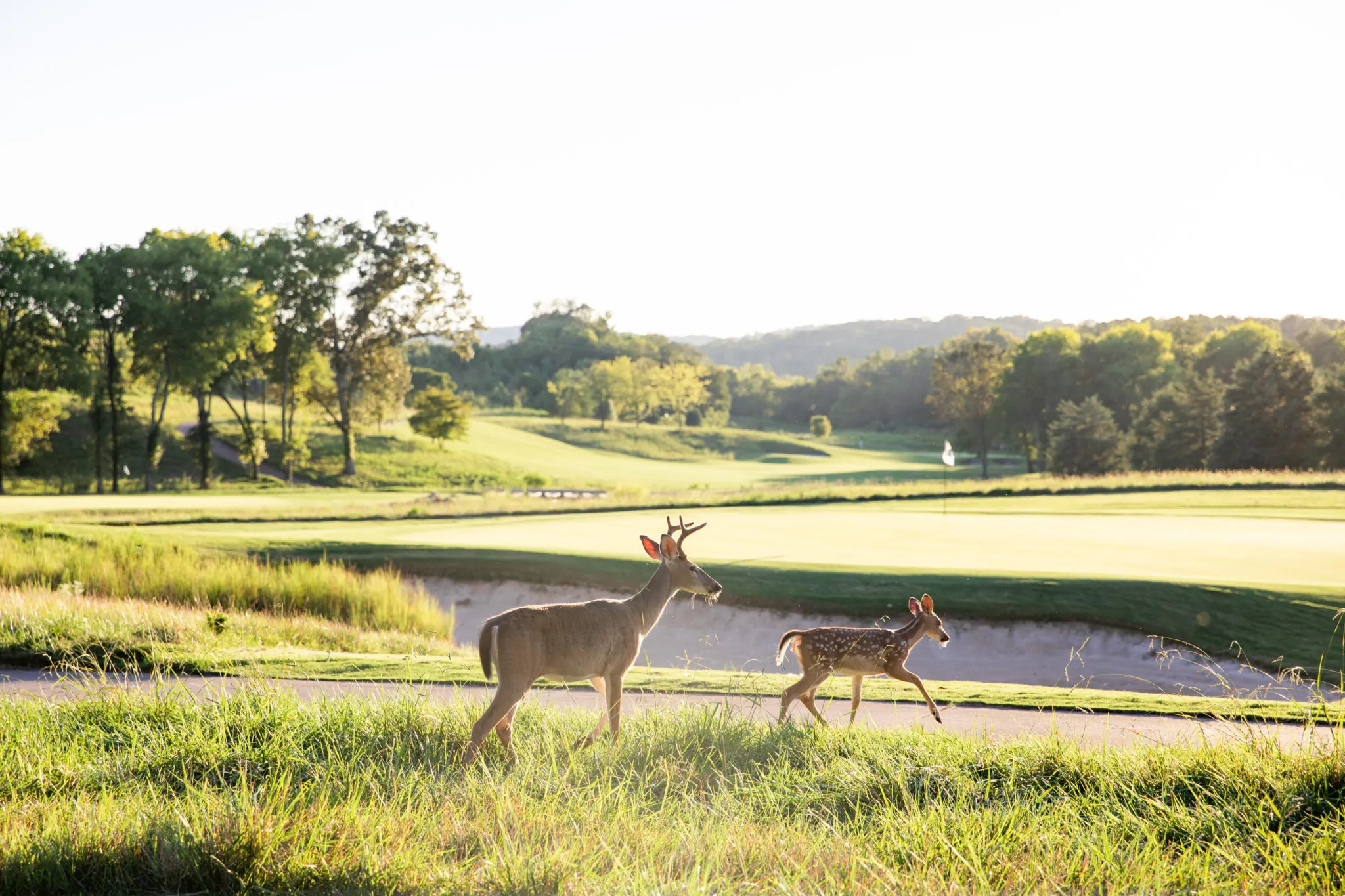Community amenity and lifestyle image